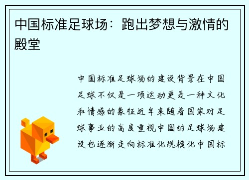 中国标准足球场：跑出梦想与激情的殿堂