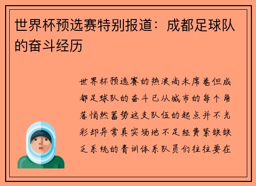 世界杯预选赛特别报道：成都足球队的奋斗经历