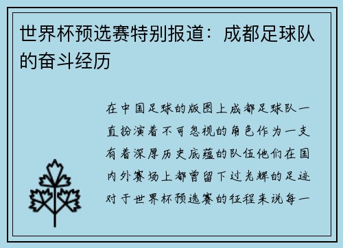 世界杯预选赛特别报道：成都足球队的奋斗经历
